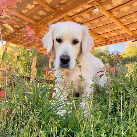 Il Podere Di Massi Landhaus *
