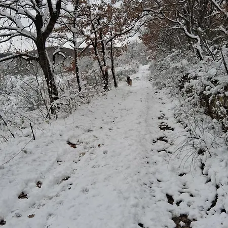 Il Podere Di Massi