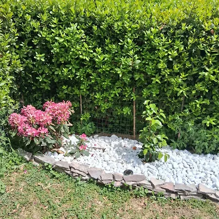 Il Podere Di Massi Séjour à la campagne *