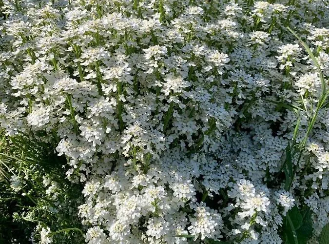 컨트리하우스 Il Podere Di Massi *