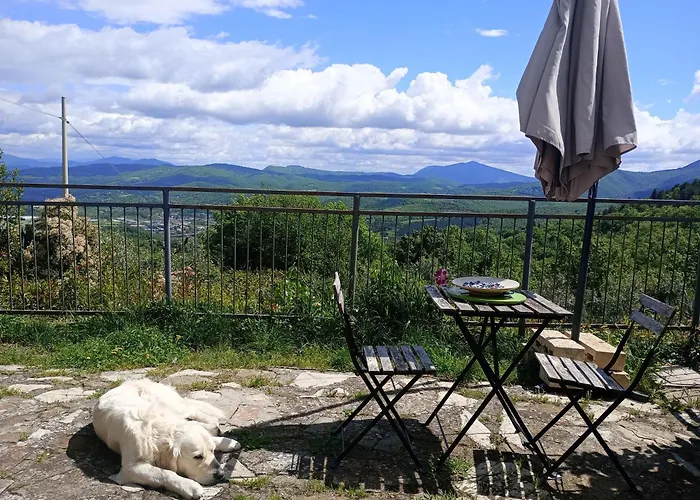 컨트리하우스 Il Podere Di Massi 바르베리노 디 무겔로