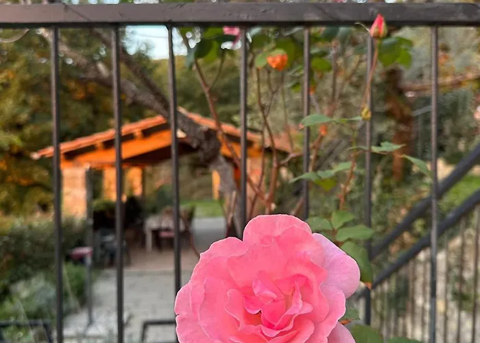 Il Podere Di Massi 컨트리하우스