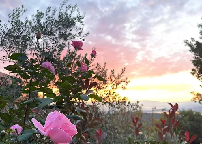 컨트리하우스 Il Podere Di Massi *