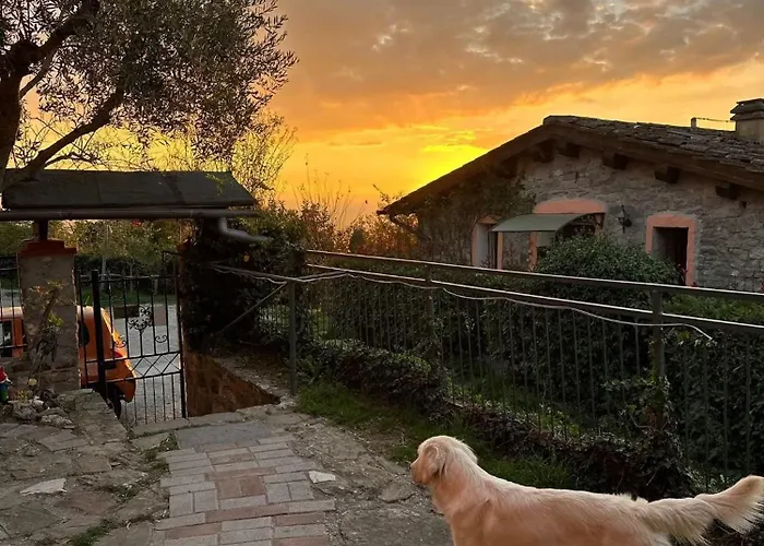 Il Podere Di Massi *