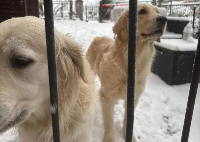 Il Podere Di Massi 컨트리하우스 *